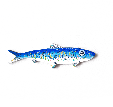 Sardina